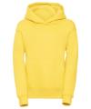 575B Hooded Sweatshirt Yellow colour image