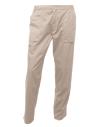 TRJ330R Men's New Action Trouser (Reg) Lichen colour image