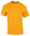 GD02 2000 Ultra Cotton T Shirt Gold colour image