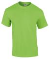 GD02 2000 Ultra Cotton T Shirt Lime colour image