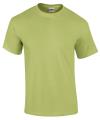 GD02 2000 Ultra Cotton T Shirt Pistachio colour image