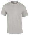GD02 2000 Ultra Cotton T Shirt Sport Grey colour image