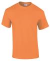GD02 2000 Ultra Cotton T Shirt Tangerine colour image