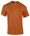 GD02 2000 Ultra Cotton T Shirt Texas Orange colour image