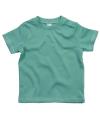 BZ002 Baby T-Shirt Sage Green colour image