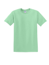 GD01 64000 T Shirt Mint colour image