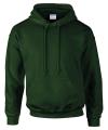 GD54 12500 Dryblend Hooded Sweatshirt Forest Green colour image