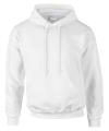 GD54 12500 Dryblend Hooded Sweatshirt White colour image
