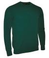 GM11 Lambswool Crew Neck Sweater Bottle Green colour image