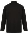 H020 Roll Neck Long Sleeve Top Black colour image
