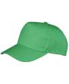 RC084 BOSTON 5 PANEL POLYC PRINT CAP Apple Green colour image