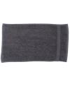 TC005 Luxury Range Guest Towel Steel Grey colour image