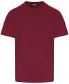 RX151 Pro Rtx T-Shirt Burgundy colour image