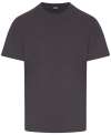 RX151 Pro Rtx T-Shirt Solid Grey colour image