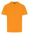 RX151 Pro Rtx T-Shirt Orange colour image