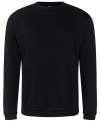 RX301 PRO RTX Sweatshirt Black colour image