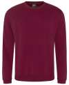 RX301 PRO RTX Sweatshirt Burgundy colour image