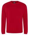RX301 PRO RTX Sweatshirt Red colour image