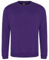 RX301 PRO RTX Sweatshirt Purple colour image