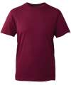 AM010 Anthem T-Shirt Burgundy colour image