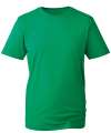 AM010 Anthem T-Shirt Kelly Green colour image