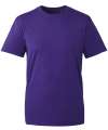 AM010 Anthem T-Shirt Purple colour image