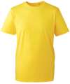 AM010 Anthem T-Shirt Yellow colour image