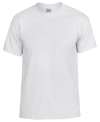 GD07 8000 GD020 Adult Dry Blend T shirt White colour image