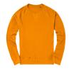 SS03 Dtg Sweatshirt English Mustard colour image
