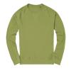 SS03 DTG Sweatshirt Sage colour image