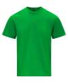 GD26 65000L Softstyle Midweight Womens T Shirt Irish Green colour image