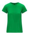 GD26 65000L Softstyle Midweight Womens T Shirt Irish Green colour image