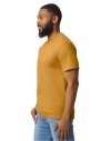 GD24 65000 Softstyle Midweight Mens T Shirt Mustard colour image