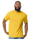GD24 65000 Softstyle Midweight Mens T Shirt Daisy colour image