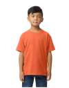 GD24B 65000B Softstyle Midweight Youth T Shirt Orange colour image