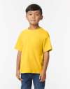 GD24B 65000B Softstyle Midweight Youth T Shirt Daisy colour image
