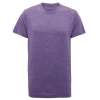 TR010 Tridri® Performance T Shirt Purple Melange colour image