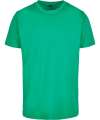 BY004 T Shirt Round Neck Grass Green colour image