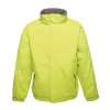 RG045 Regatta Dover Waterproof Insulated Jacket Key Lime / Seal colour image