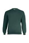 GR21 Eco Sweatshirt Bottle Green colour image