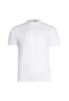 GR31 Eco T Shirt White colour image