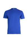 GR31 Eco T Shirt Royal colour image