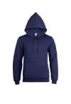GR51 Eco Hoodie Navy colour image