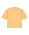 STTW175 (SX235) Nova boxy t-shirt nispero colour image