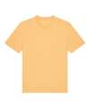 STTU169/SX701 Unisex Creator 2.0 iconic t shirt Nispero colour image