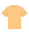 STTU171 SX714 Unisex Sparker 2.0 heavy t-shirt Nispero colour image