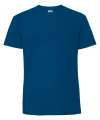 SS422 61422 Iconic 195 Premium T Mountain Blue colour image