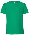 SS422 61422 Iconic 195 Premium T Kelly Green colour image