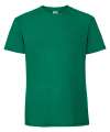 SS422 61422 Iconic 195 Premium T College Green colour image