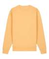 SX703 Iconic Crew neck Sweatshirt Nispero colour image